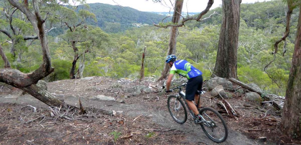 mountain bike tasmania