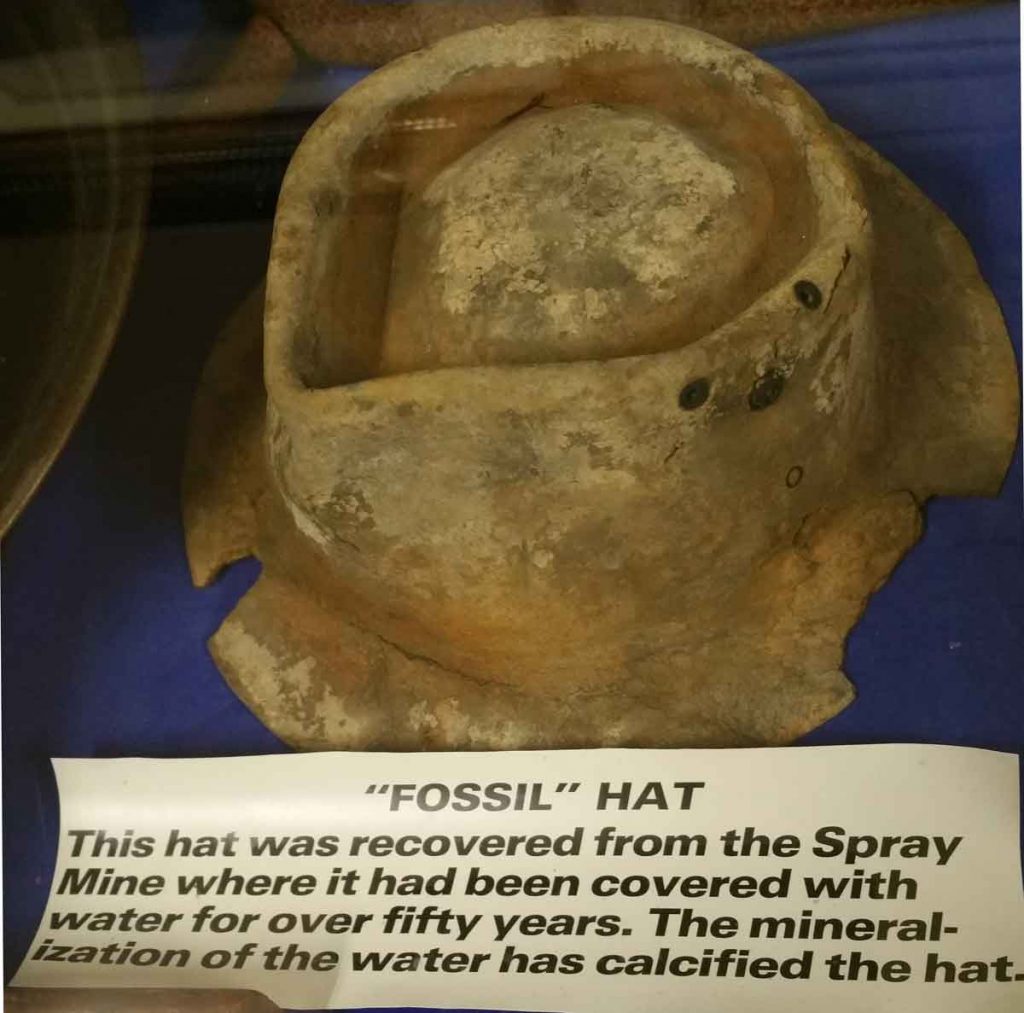 Fossilised hat exhibit in the west coast heritage centre.