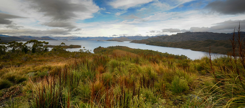 nature based tourism license tasmania